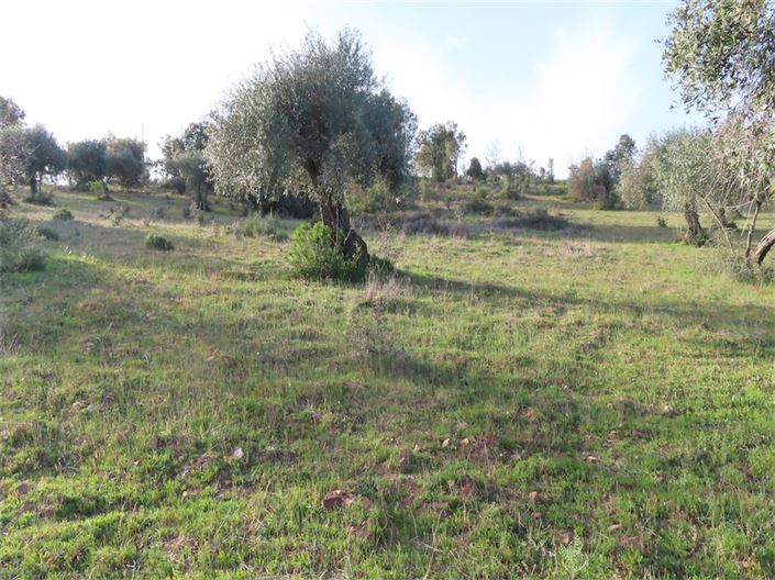 Image No.20-Property for sale