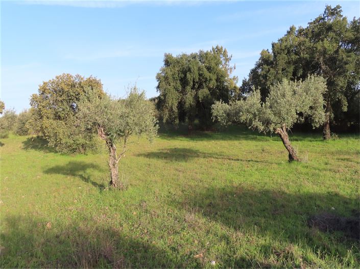 Image No.21-Property for sale