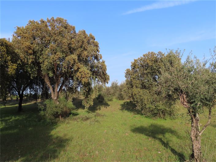 Image No.22-Property for sale