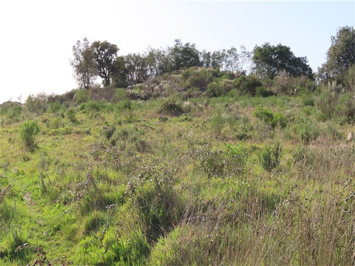 Image No.3-Property for sale