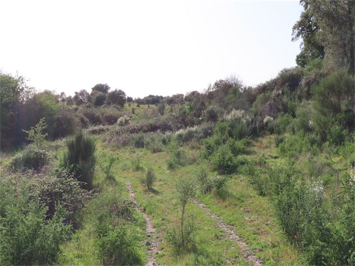 Image No.4-Property for sale