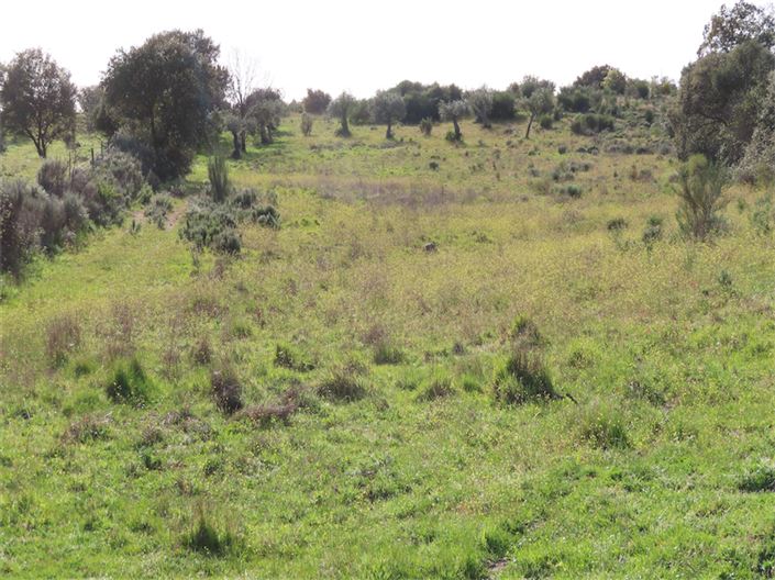 Image No.7-Property for sale