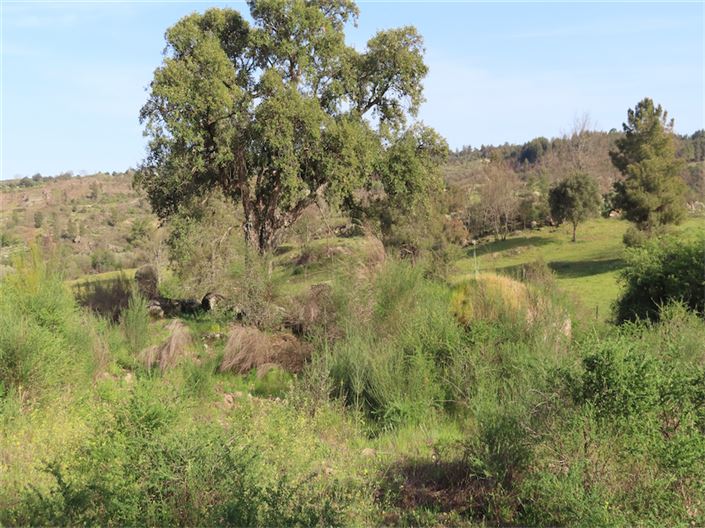 Image No.8-Property for sale