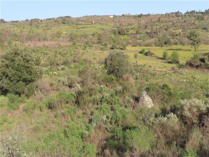 Image No.9-Property for sale