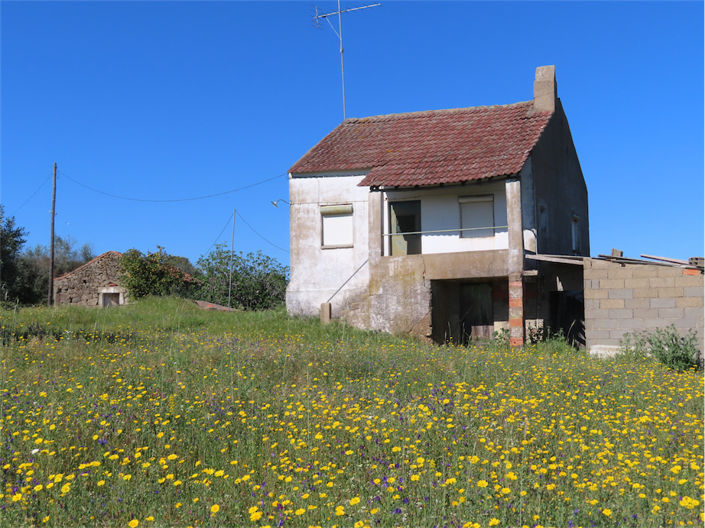 Image No.1-Propriété de 2 chambres à vendre à Castelo Branco