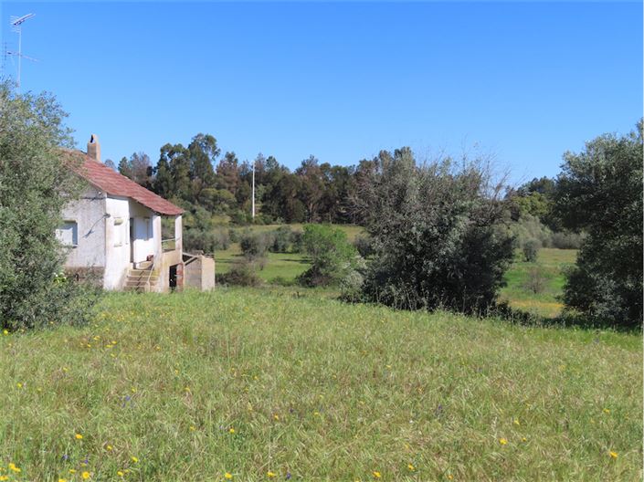 Image No.12-2 Bed Property for sale