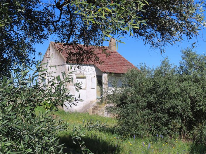 Image No.14-2 Bed Property for sale