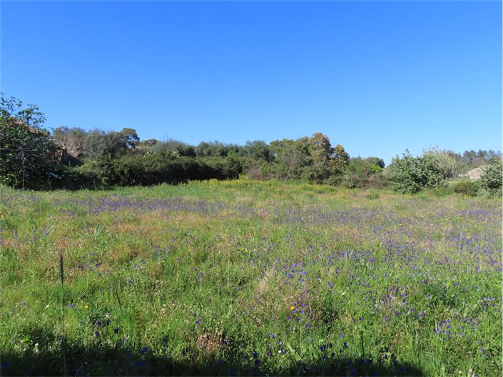 Image No.17-2 Bed Property for sale