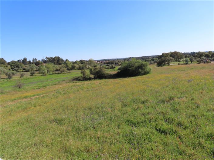 Image No.19-2 Bed Property for sale