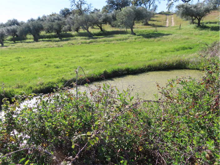 Image No.2-2 Bed Property for sale