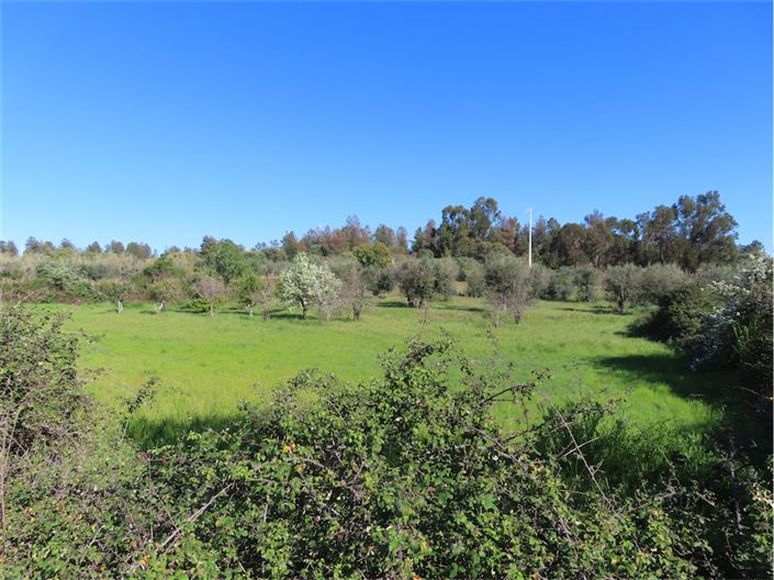 Image No.35-2 Bed Property for sale