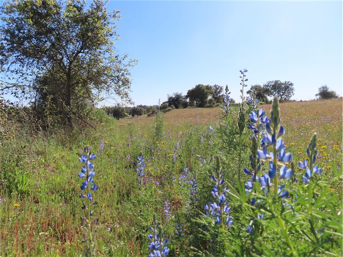 Image No.37-2 Bed Property for sale