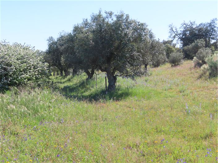 Image No.39-2 Bed Property for sale