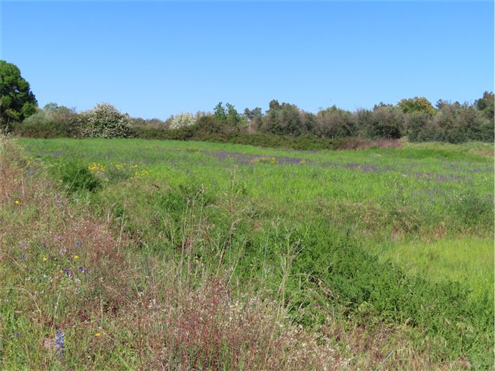 Image No.40-2 Bed Property for sale