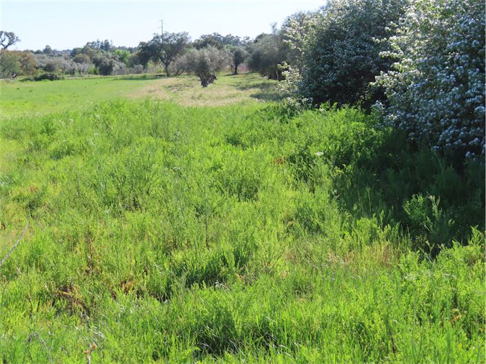 Image No.41-2 Bed Property for sale