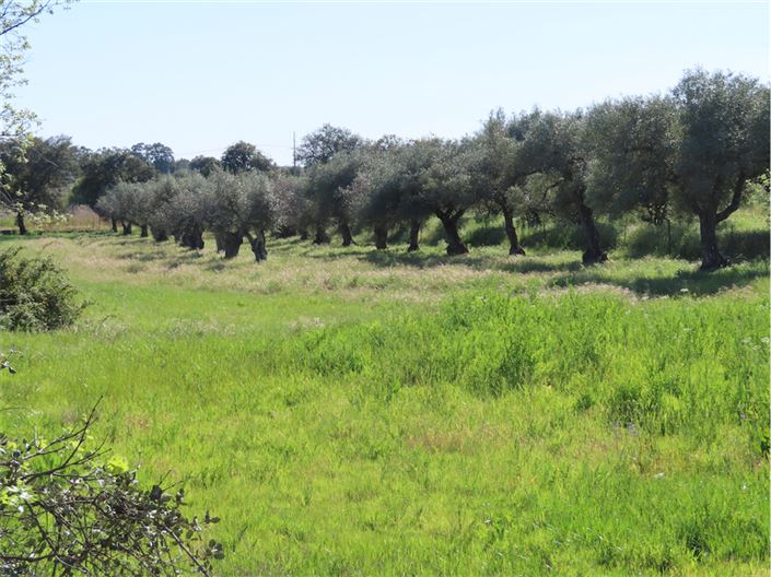 Image No.43-2 Bed Property for sale