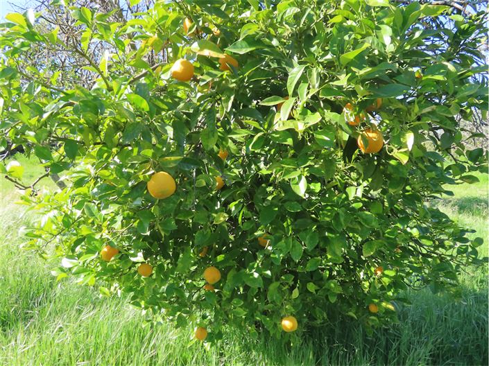 Image No.47-2 Bed Property for sale