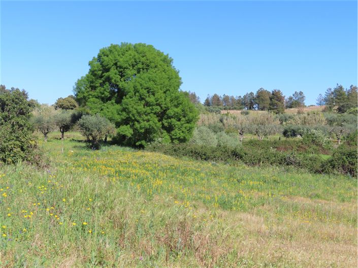 Image No.6-2 Bed Property for sale