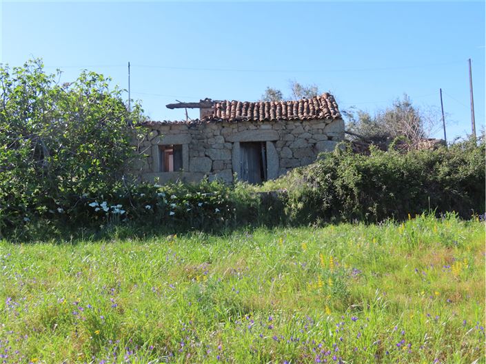 Image No.1-Propriété de 2 chambres à vendre à Castelo Branco
