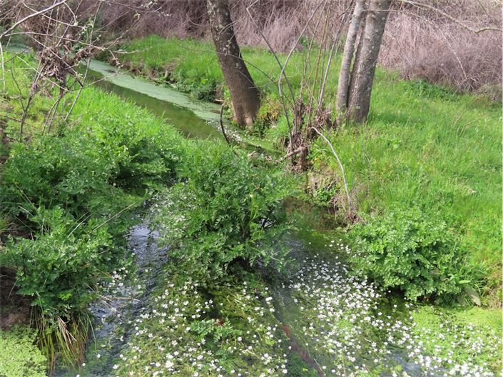 Image No.19-Propriété à vendre à Castelo Branco