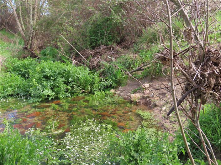 Image No.21-Propriété à vendre à Castelo Branco