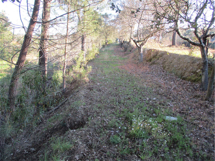 Image No.11-Propriété à vendre à Castelo Branco