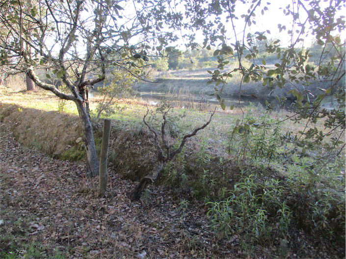 Image No.12-Propriété à vendre à Castelo Branco