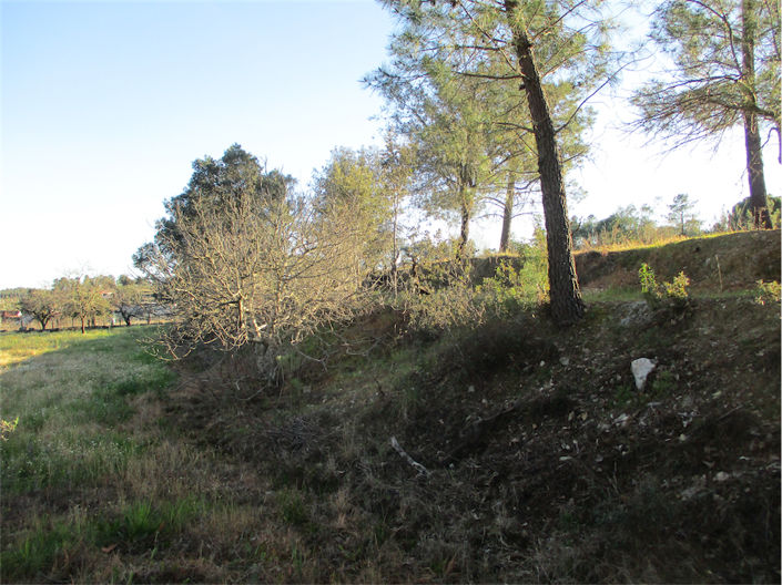 Image No.13-Propriété à vendre à Castelo Branco