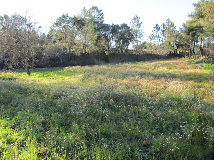 Image No.18-Propriété à vendre à Castelo Branco