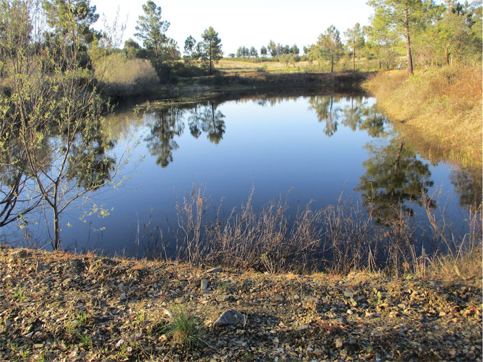 Image No.1-Property for sale