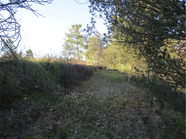 Image No.23-Propriété à vendre à Castelo Branco