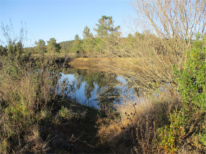 Image No.4-Propriété à vendre à Castelo Branco