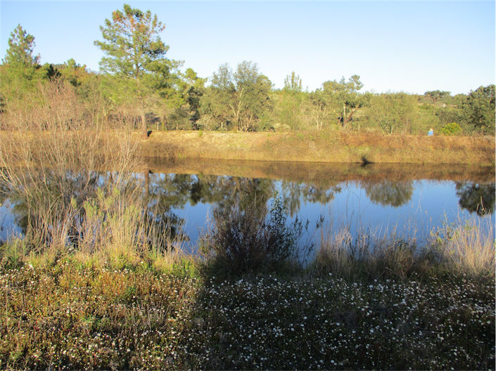 Image No.6-Propriété à vendre à Castelo Branco