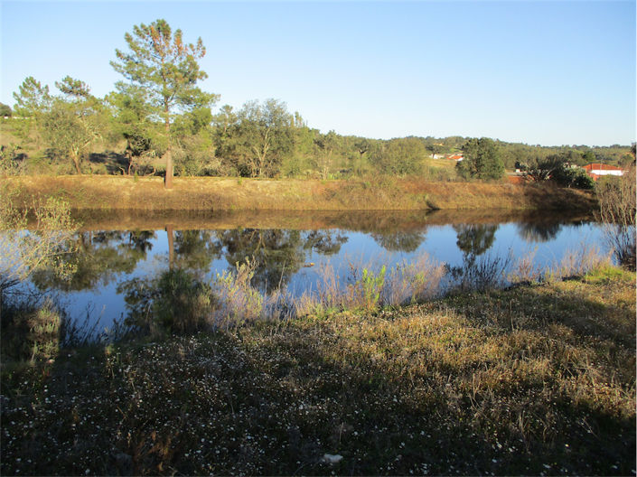 Image No.7-Propriété à vendre à Castelo Branco