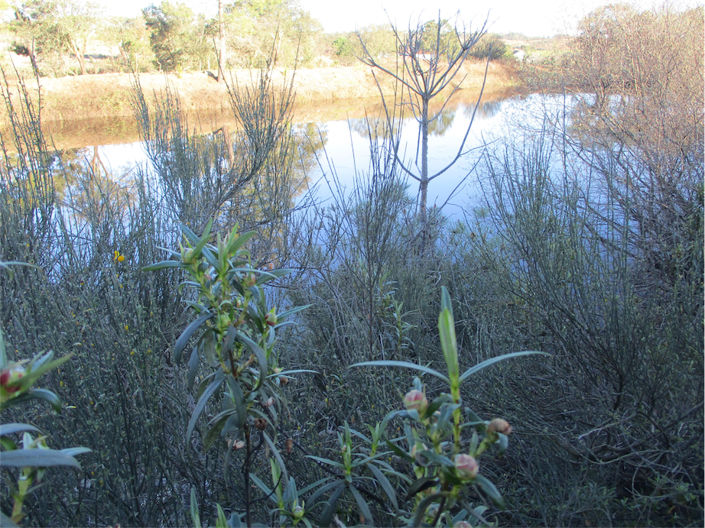Image No.8-Propriété à vendre à Castelo Branco