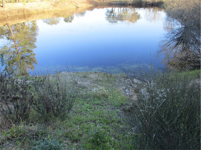 Image No.9-Propriété à vendre à Castelo Branco