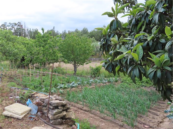 Image No.28-Property for sale