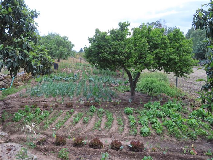 Image No.29-Property for sale