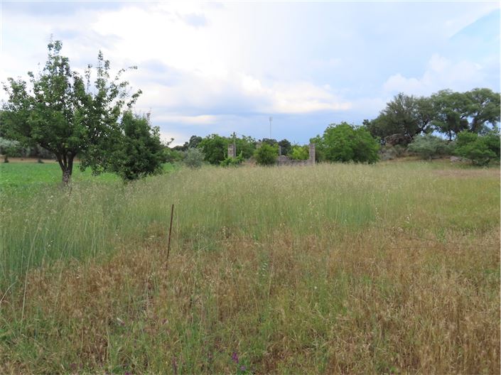 Image No.30-Property for sale