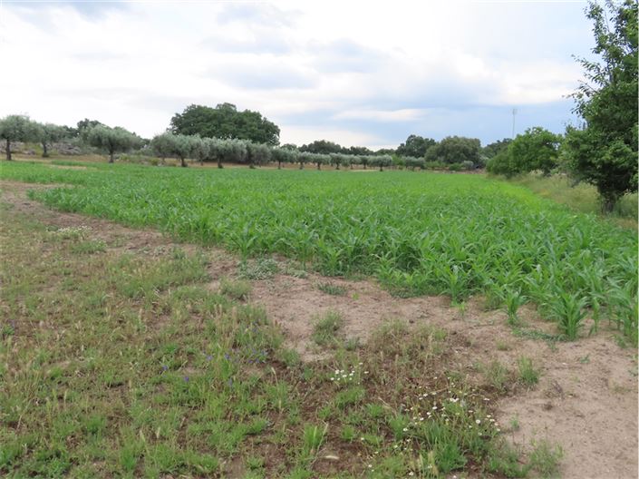 Image No.31-Property for sale