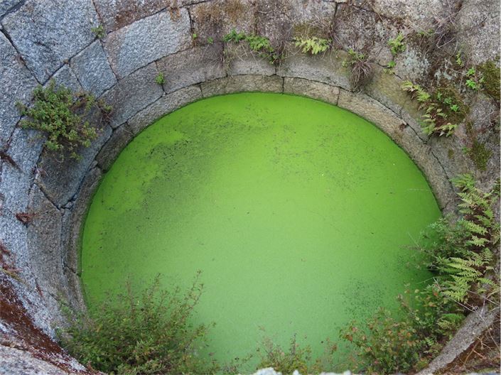 Image No.38-Property for sale