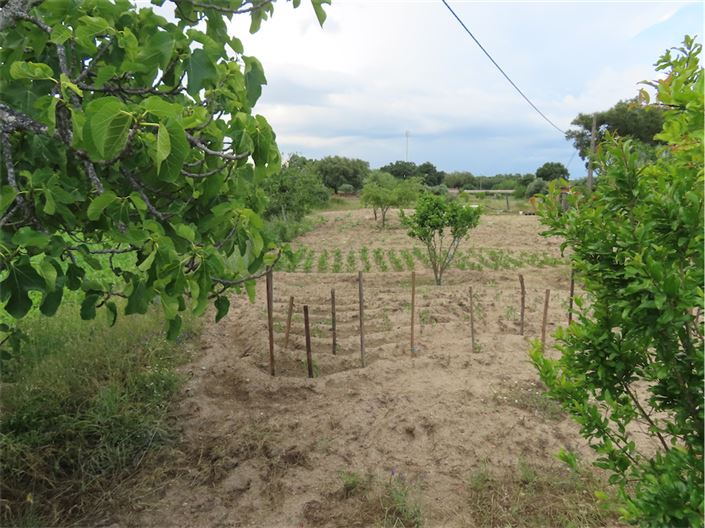 Image No.39-Property for sale