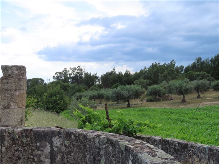 Image No.41-Property for sale