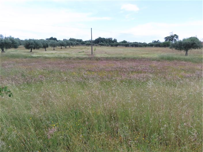 Image No.43-Property for sale