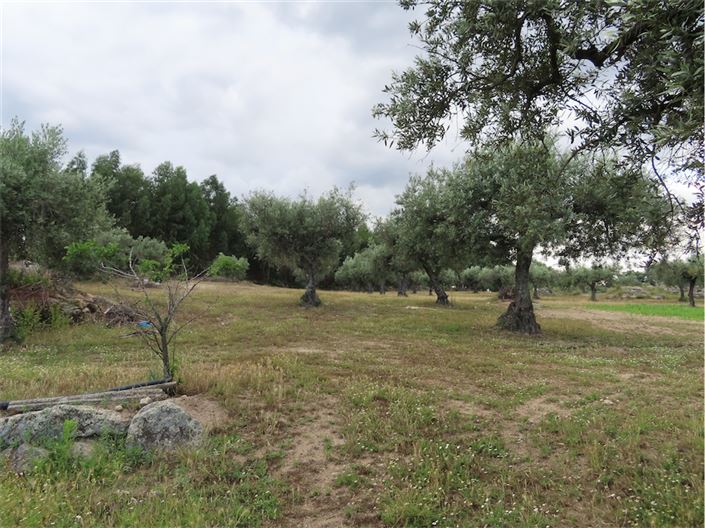 Image No.44-Property for sale