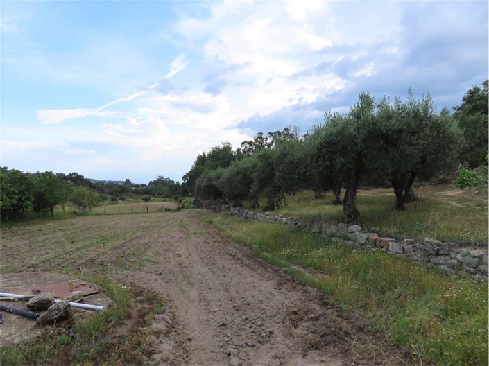 Image No.45-Property for sale