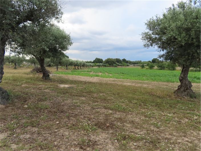 Image No.46-Property for sale