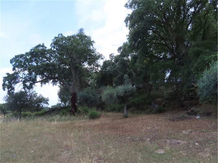 Image No.48-Property for sale