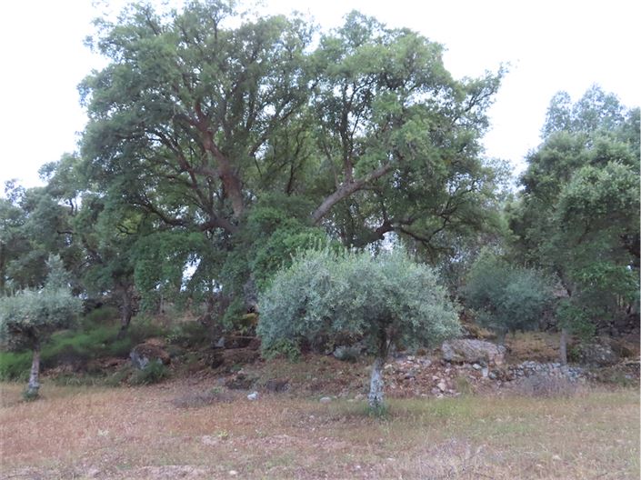 Image No.49-Property for sale