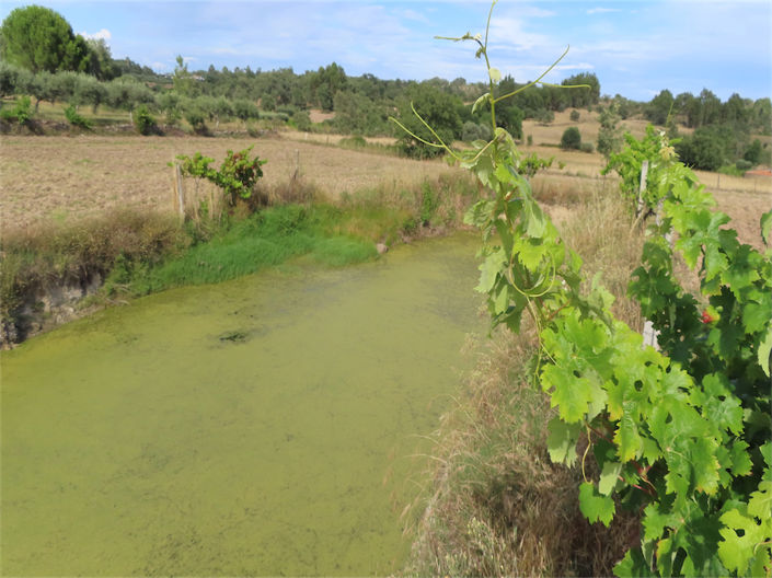 Image No.11-Property for sale